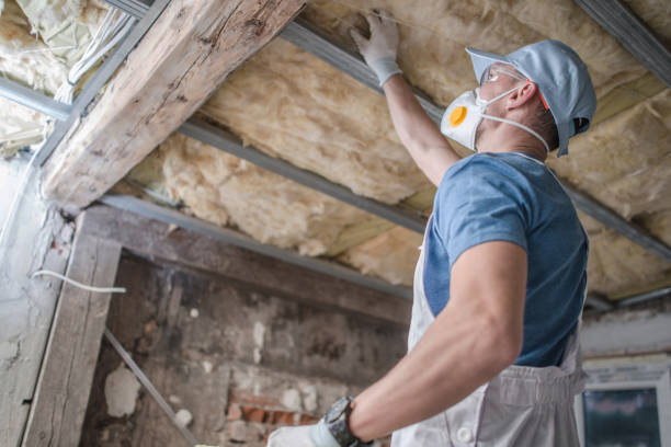 Best Cellulose Insulation  in West Samoset, FL